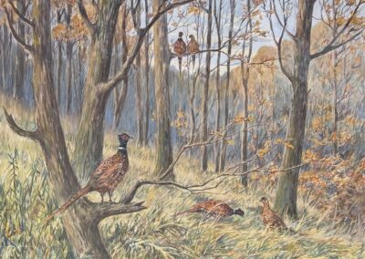 Fernand Maissen (1873-?)